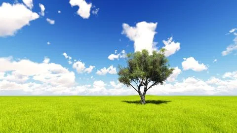 Tree field of grass and perfect sky landscape 3D rendering Illustration