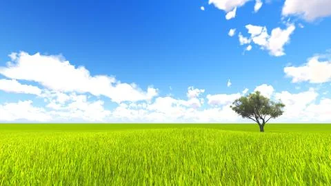 Tree field of grass and perfect sky landscape 3D rendering Illustration