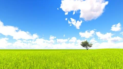 Tree field of grass and perfect sky landscape 3D rendering Illustration