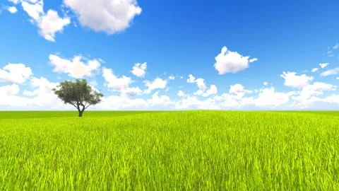 Tree field of grass and perfect sky landscape 3D rendering Illustration