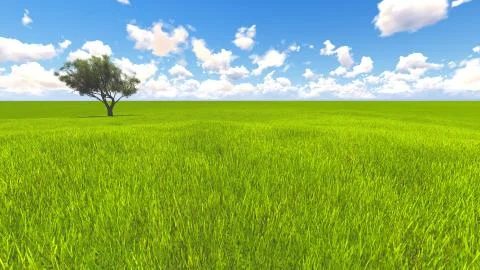 Tree field of grass and perfect sky landscape 3D rendering Illustration