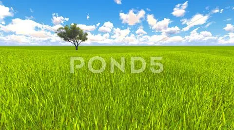 Tree field of grass and perfect sky landscape 3D rendering Stock Illustration