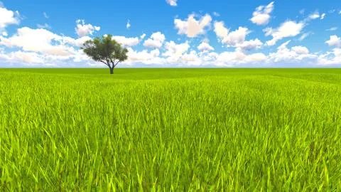 Tree field of grass and perfect sky landscape 3D rendering Illustration