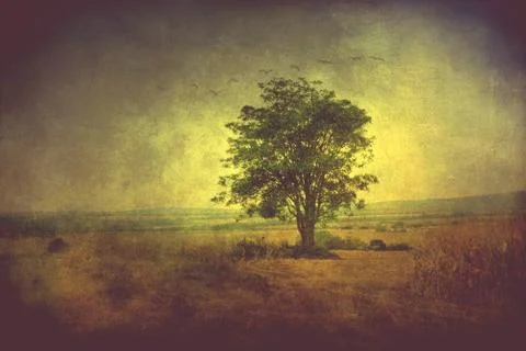 Tree in a field on a grunge background with flying birds Stock Photos
