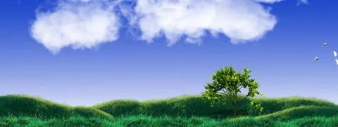 A tree in the field, loop animation, 4K Loop Animation 스톡 동영상 246531667