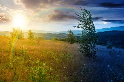 Tree on a field in mountain landscape Stock Photos