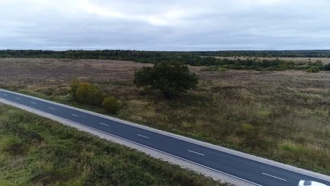Tree in the field next to the road Stock Footage 80808758