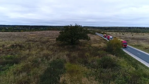 Tree in the field next to the road Stock Footage 80808780