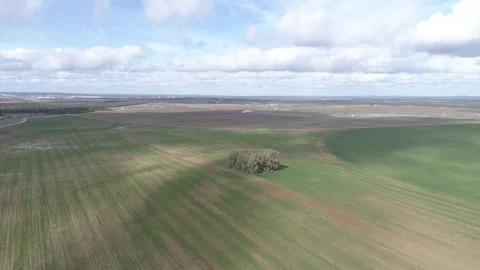Tree field in Portugal Stock Footage 72668405