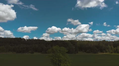 Tree in the field, rise to the top Видео 142294102