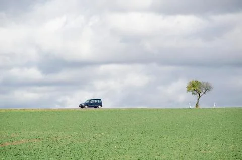 Tree on a field with road Stock Photos
