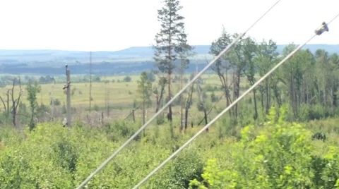 Tree in the field russia from train video Stock Footage 51870261