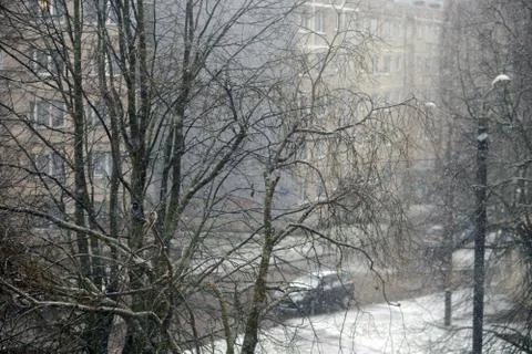 Tree in a field in winter with falling snow Christmas Winter New Year background Fotos de archivo