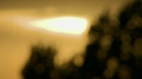 Tree Fights Sun Видео 496965