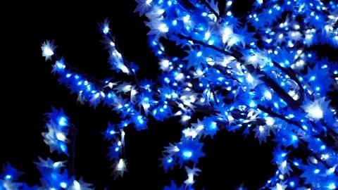 Tree filled with blue and white string lights, LED bulbs and bokeh for Stock Footage 102166851
