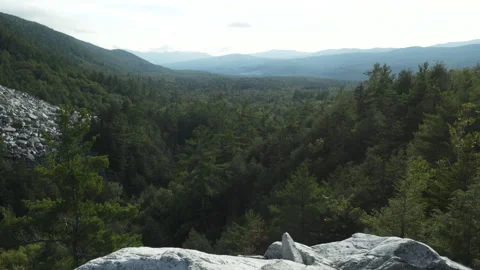 A tree filled valley on a beautiful day Stock Footage 131761485