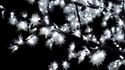 Tree filled with white string lights, LED bulbs and bokeh for Christmas. Stock Footage 102166828