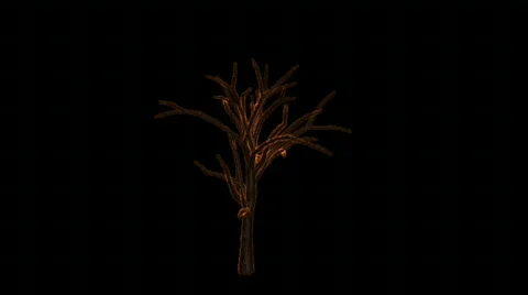 Tree on fire with alpha matte Stock Footage 334912