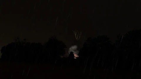 Tree on fire in a forest 库存影片 270068978