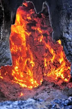 Tree on fire Stock-Fotos