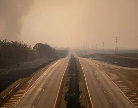 Tree on fire on the side of the road Stock Photos