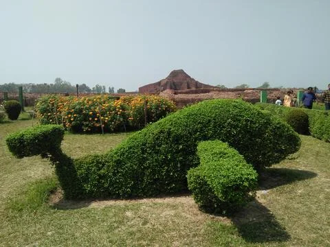 Tree Fish Stockfoto's