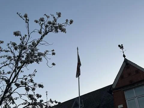 Tree, flag pole and top of building taken at dusk, Clear blue sky Stock Photos