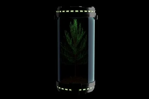 A tree in a flask Illustrazione stock
