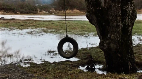 Tree in the flood. River flood. Stock Footage 37165185