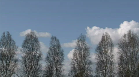 Tree with flowing clouds Stock Footage 646983