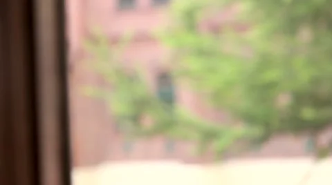 Tree flutters in the wind, the movement of the camera Stockbeeldmateriaal 60988752