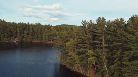 Tree Fly-By River Reveal Stock Footage 71329095