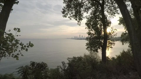 Tree Fly Through to Skyline Cleveland - Uncolored Stock Footage 89666767