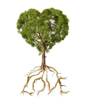 Tree with foliage in the shape of a heart with roots as text Love. Stock Illustration