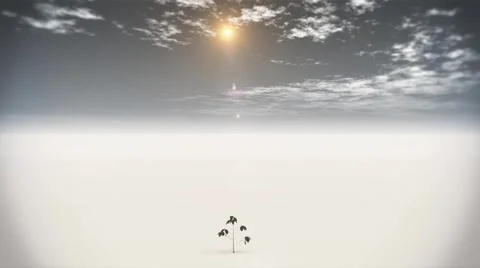 Tree Stock Footage 1721575