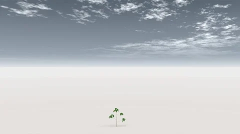 Tree Stock Footage 1936488