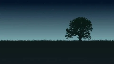 Tree Video stock 8836321