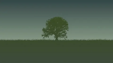 Tree Video stock 8836331