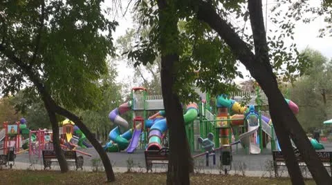 Tree 스톡 동영상 8848870