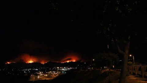 Tree in foreground, fire behind the city in the back Stock Footage 109207697