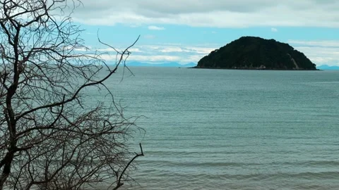 Tree in the foreground Island in the background Stock Footage 260370249