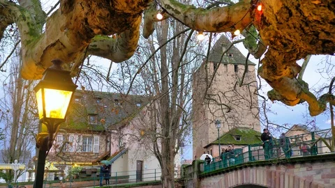 Tree foreground with knots and background bridge over Strasbourg canal and tower Stock Footage 124480972