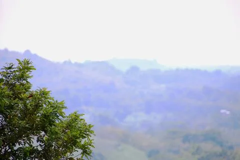 A tree is in the foreground of a mountain range Stock Photos