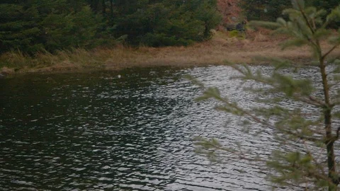 Tree in the foreground as a river flowing from a tarn moves behind Video stock 126471061
