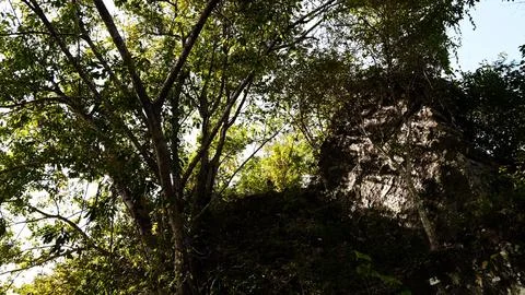 A tree is in the foreground of a rocky hill Stock-Fotos