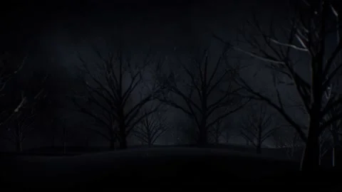 Tree forest background with mysterious fog loop Stock Footage 237240174