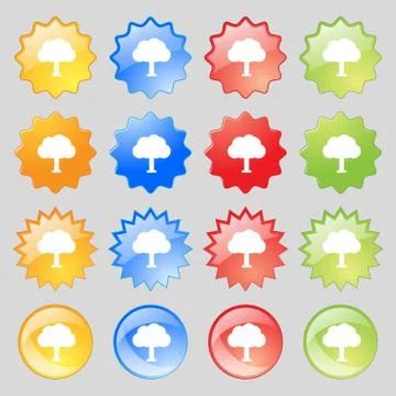 Tree, Forest icon sign. Big set of 16 colorful modern buttons for your design. Stock Illustration