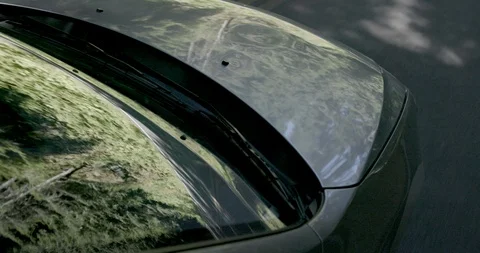 Tree in the forest reflecting on the car windshield Stock Footage 145279180
