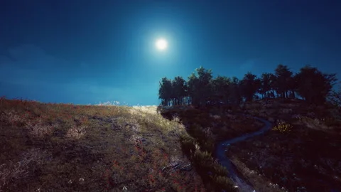 Tree Forrest in the Mountains Stock Footage 233201878