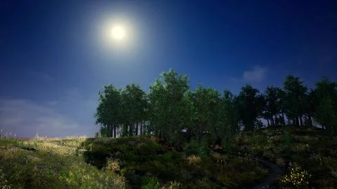 Tree Forrest in the Mountains Illustrazione stock
